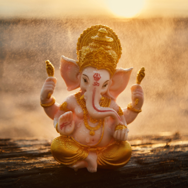 Édith Couder, Énergéticienne à Grenoble